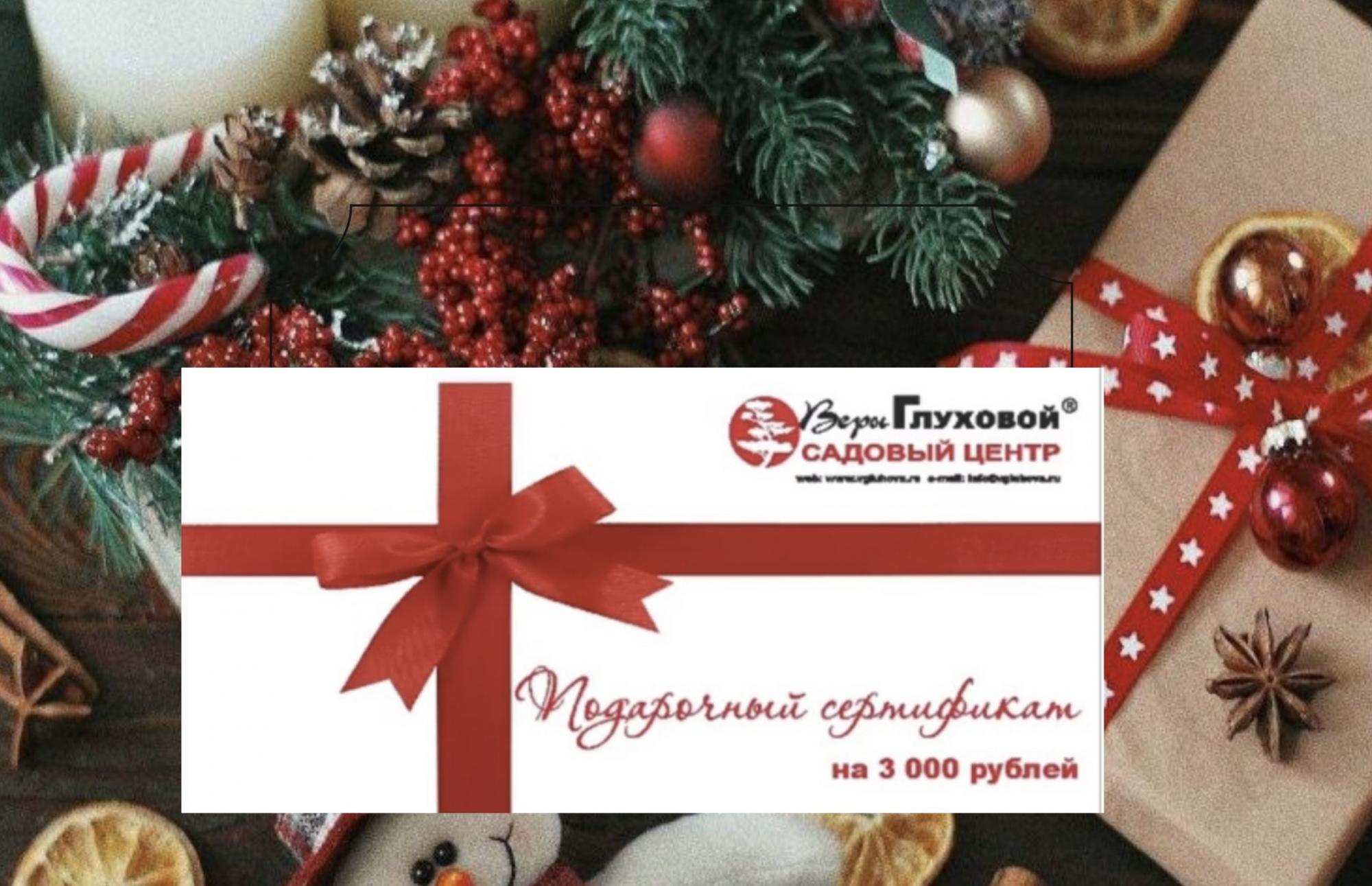 САМЫЙ ЖЕЛАННЫЙ ПОДАРОК - "СЕРТИФИКАТ НА ПОКУПКУ РАСТЕНИЙ" САМЫЙ ЖЕЛАННЫЙ ПОДАРОК - "СЕРТИФИКАТ НА ПОКУПКУ РАСТЕНИЙ"