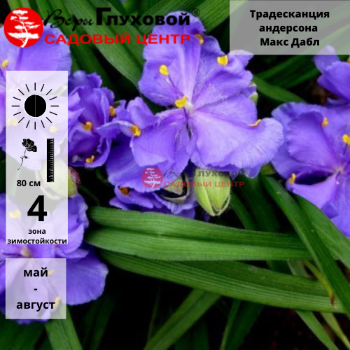 Основное изображение товара