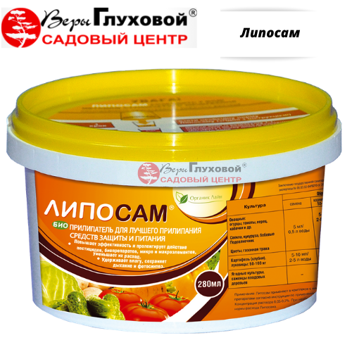 Основное изображение товара