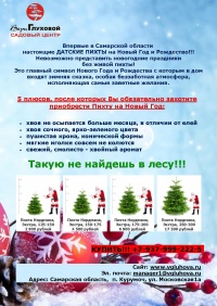 Живые пихты