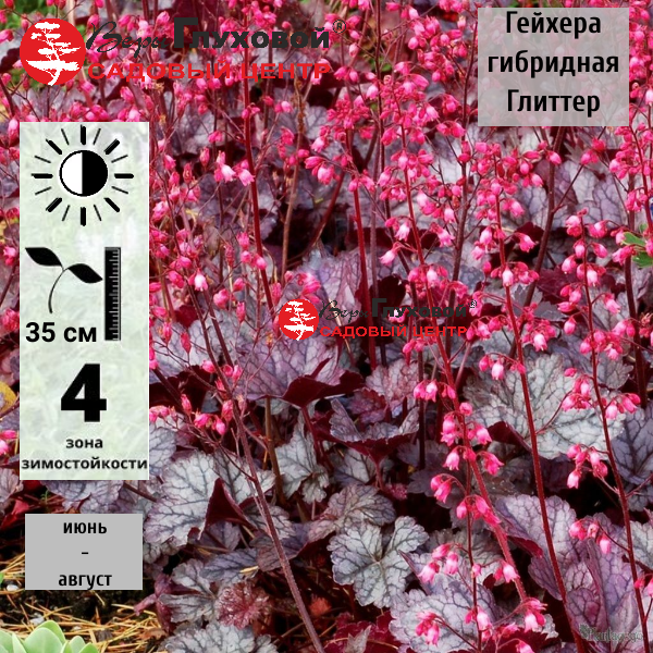 Основное изображение товара