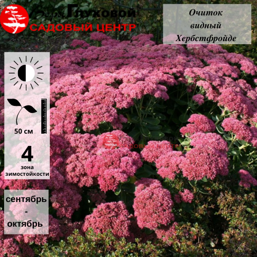 Основное изображение товара