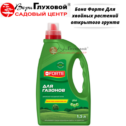 Основное изображение товара