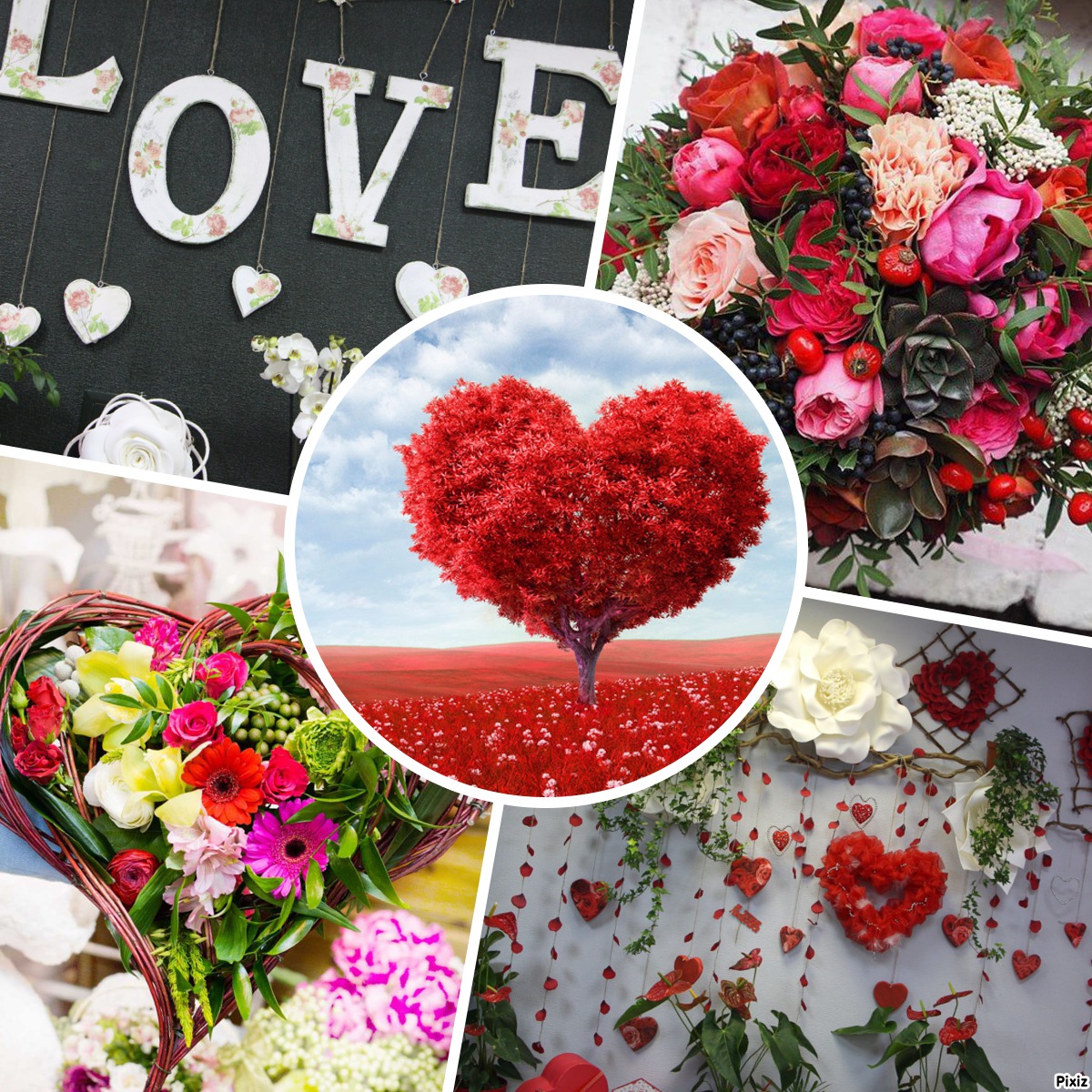 Цветы на 14 февраля Цветы на 14 февраля