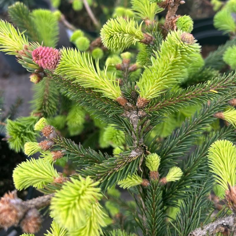 Ваш личный эксклюзив