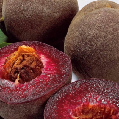 Персик Бургунди