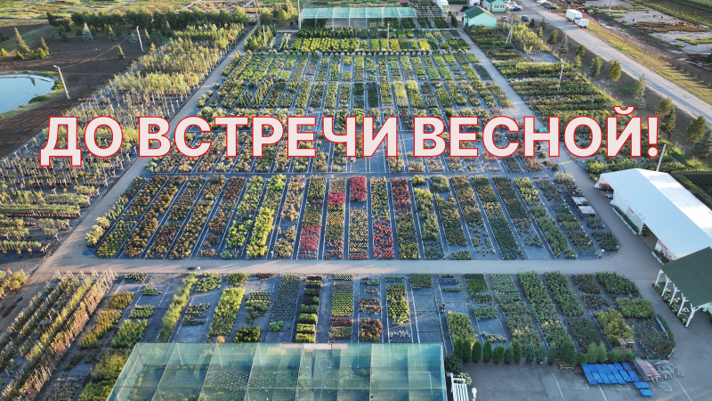 До встречи весной!