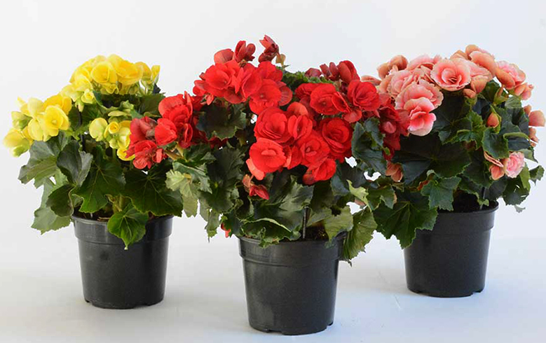 Подарки к 8 марта 2020 Подарки к 8 марта 2020