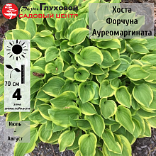 Основное изображение товара