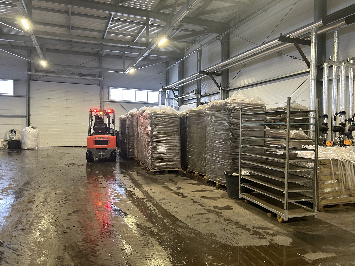 Посадка в контейнеры 