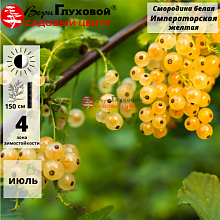 Основное изображение товара