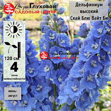 Основное изображение товара