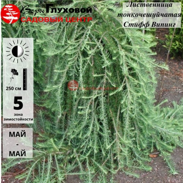 Основное изображение товара