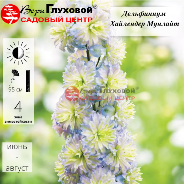 Основное изображение товара