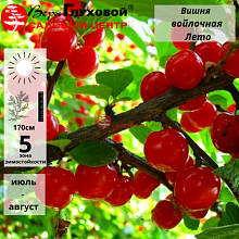 Основное изображение товара