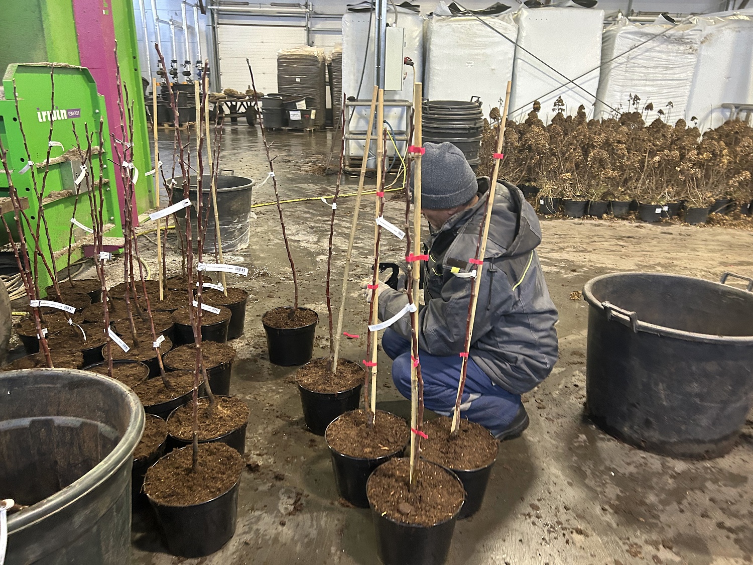 Посадка в контейнеры 