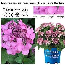 Основное изображение товара