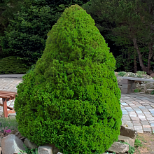 Основное изображение товара