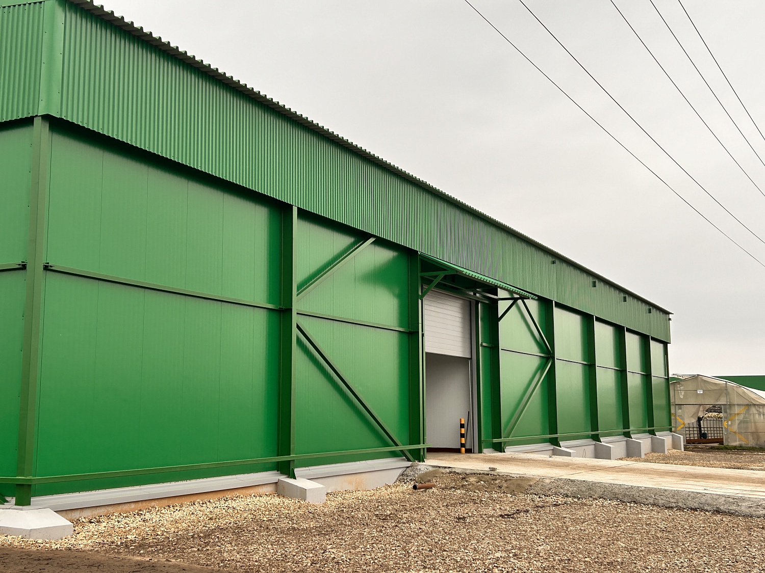 Опережая время