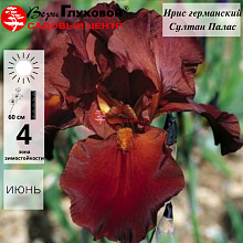 Основное изображение товара